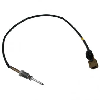 Capteur, température des gaz HOFFER 7452467