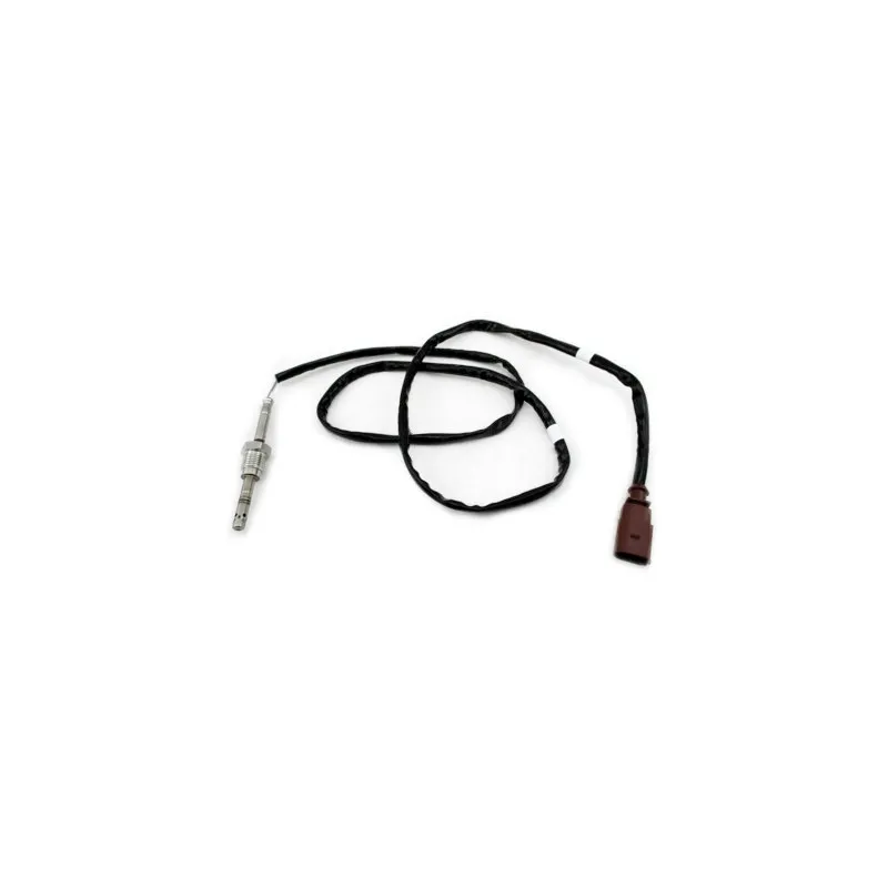 Capteur, température des gaz HOFFER 7452472