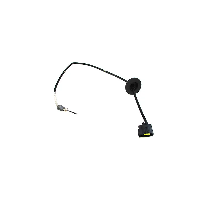 Capteur, température des gaz HOFFER 7452478