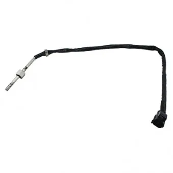 Capteur, température des gaz HOFFER