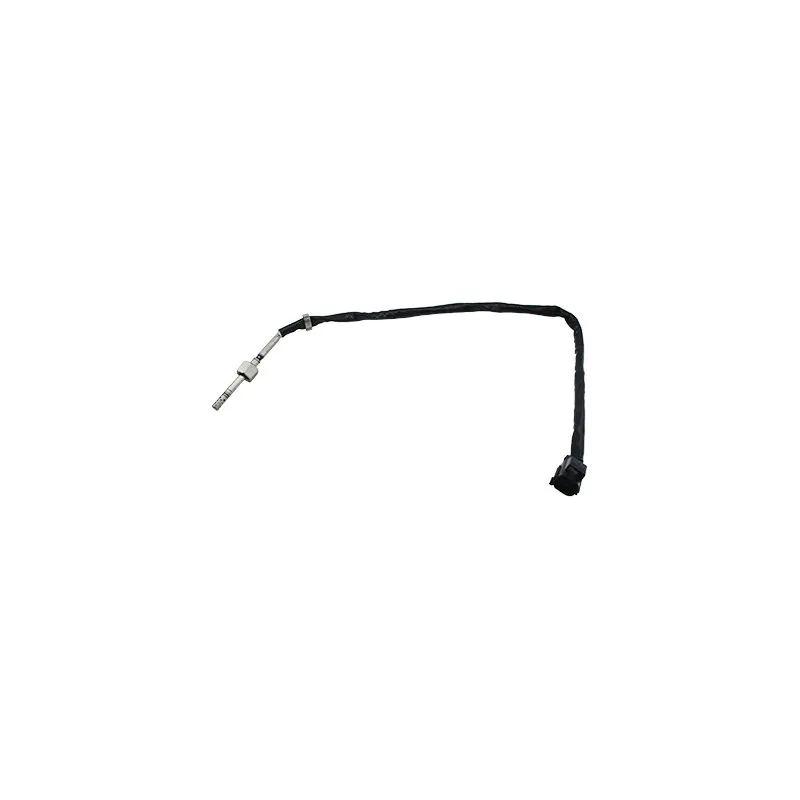 Capteur, température des gaz HOFFER 7452484