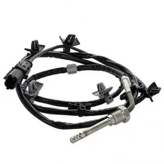Capteur, température des gaz HOFFER 7452487