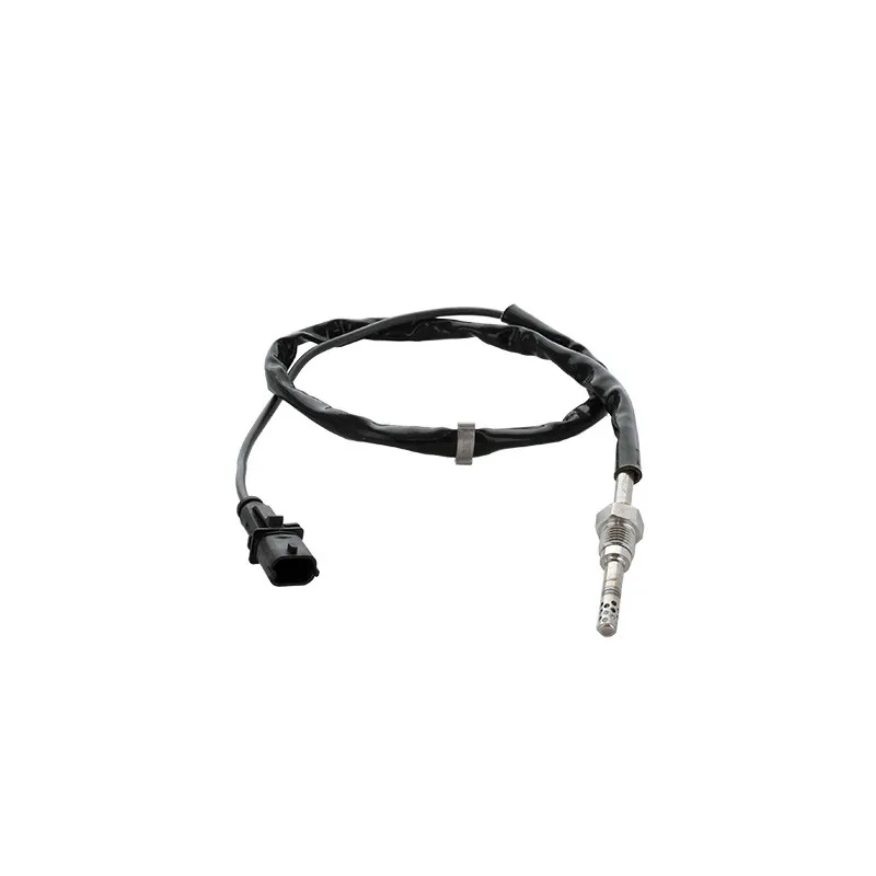 Capteur, température des gaz HOFFER 7452490