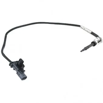 Capteur, température des gaz HOFFER 7452510
