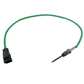 Capteur, température des gaz HOFFER 7452517