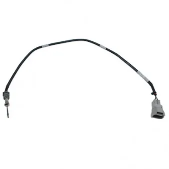 Capteur, température des gaz HOFFER