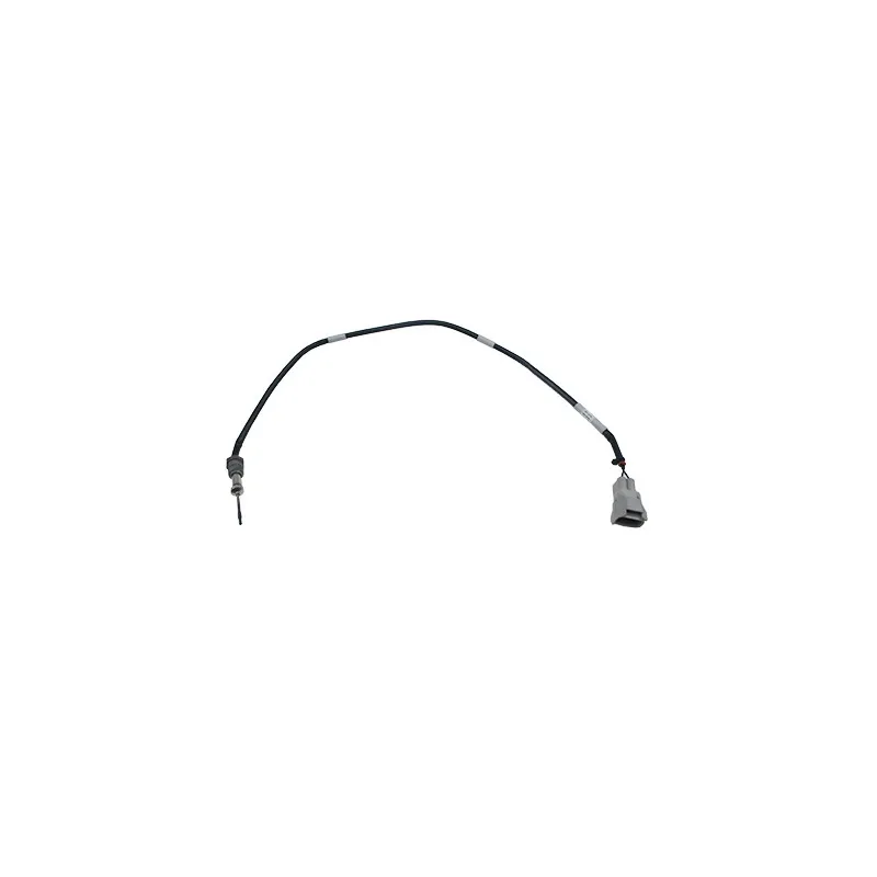 Capteur, température des gaz HOFFER 7452519