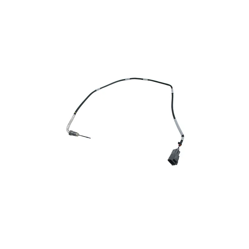 Capteur, température des gaz HOFFER 7452520