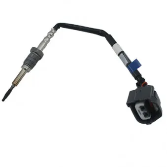 Capteur, température des gaz HOFFER 7452521