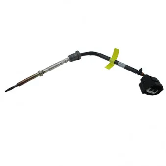 Capteur, température des gaz HOFFER 7452522