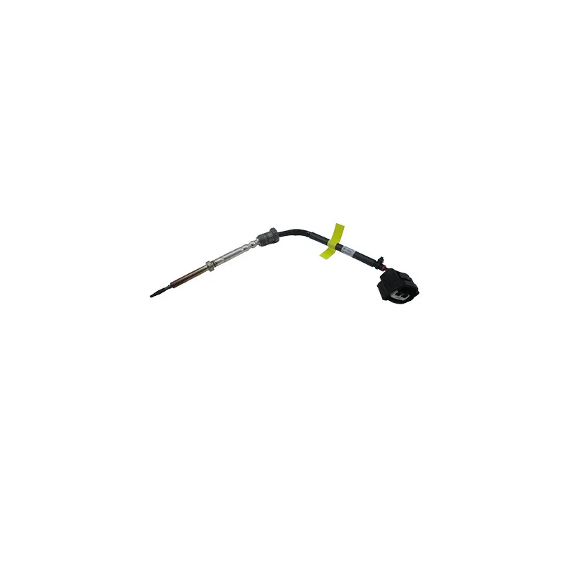Capteur, température des gaz HOFFER 7452522