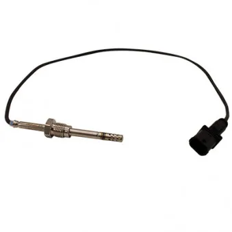 Capteur, température des gaz HOFFER 7452528