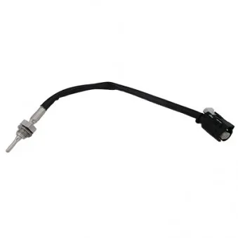 Capteur, température des gaz HOFFER 7452542