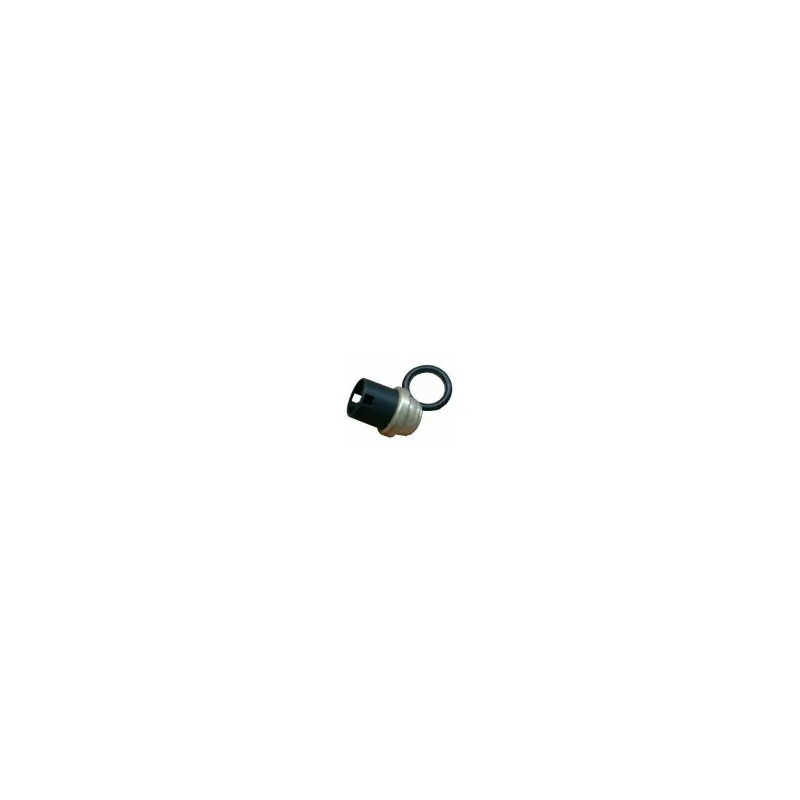 Sonde de température, liquide de refroidissement HOFFER 7472039