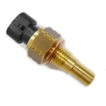 Capteur, température d'huile HOFFER 7472076