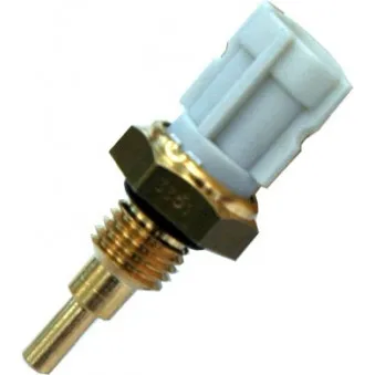 Sonde de température, liquide de refroidissement HOFFER