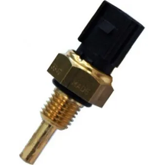 Sonde de température, liquide de refroidissement HOFFER