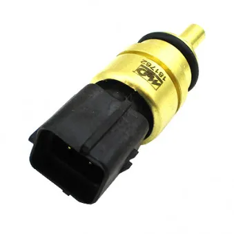 Sonde de température, liquide de refroidissement HOFFER