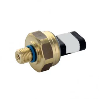 Capteur, pression de carburant HOFFER 74725006