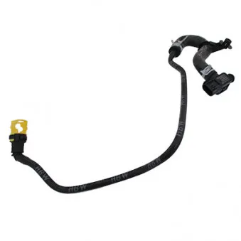 Capteur de pression, servofrein HOFFER