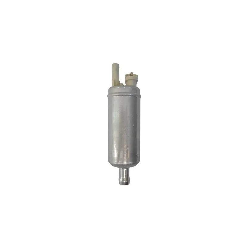 Pompe à carburant HOFFER 7506046