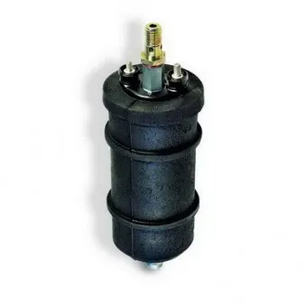 Pompe à carburant HOFFER 7506063