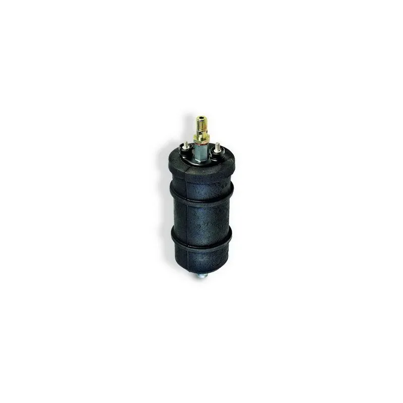Pompe à carburant HOFFER 7506063