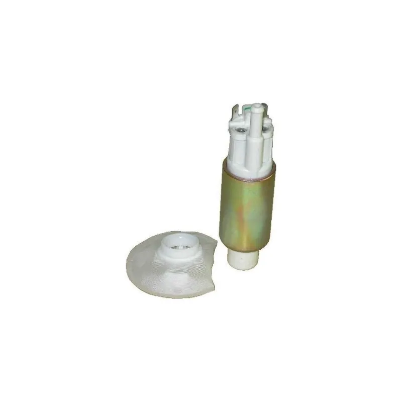 Pompe à carburant HOFFER 7506296E