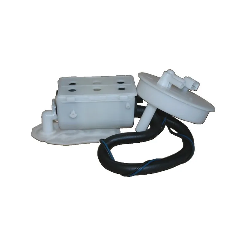 Unité d'injection de carburant HOFFER 7506383 C