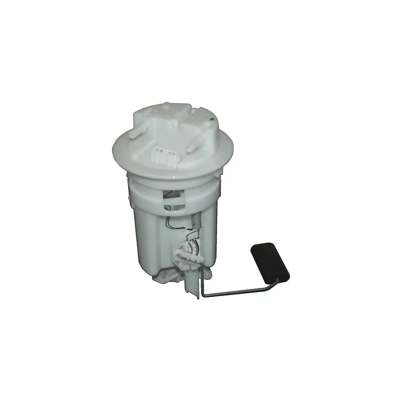 Unité d'injection de carburant HOFFER 7506429