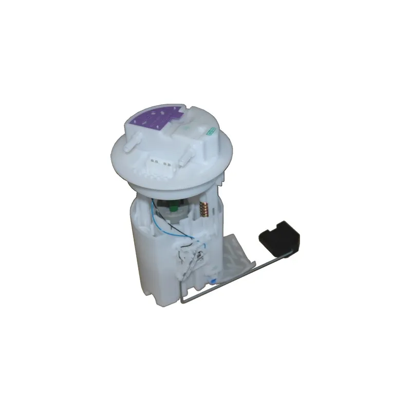Unité d'injection de carburant HOFFER 7506431