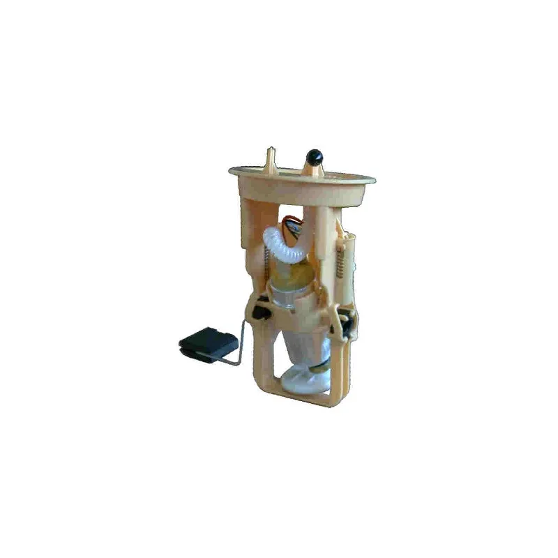Unité d'injection de carburant HOFFER 7506438