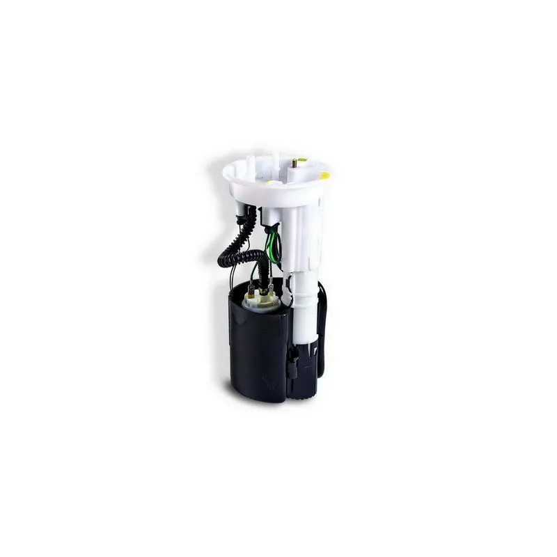 Unité d'injection de carburant HOFFER 7506459