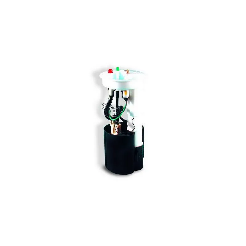 Unité d'injection de carburant HOFFER 7506461