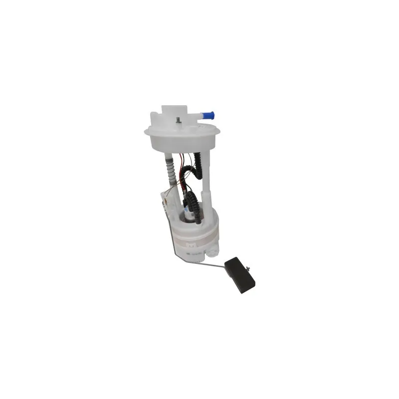 Unité d'injection de carburant HOFFER 7506465