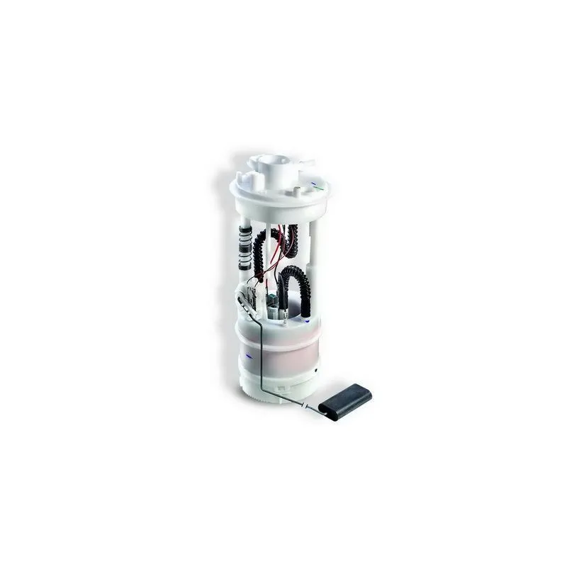 Unité d'injection de carburant HOFFER 7506471