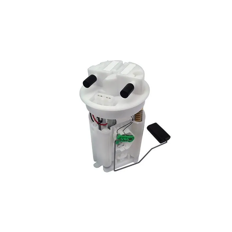 Unité d'injection de carburant HOFFER 7506479