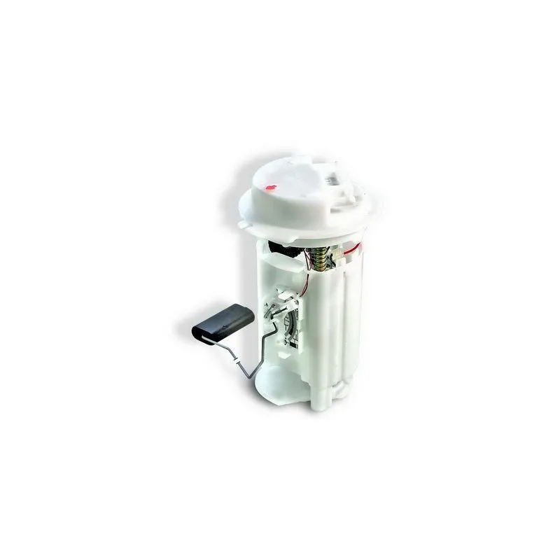 Unité d'injection de carburant HOFFER 7506483