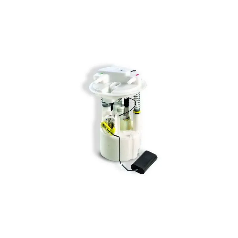 Unité d'injection de carburant HOFFER 7506488