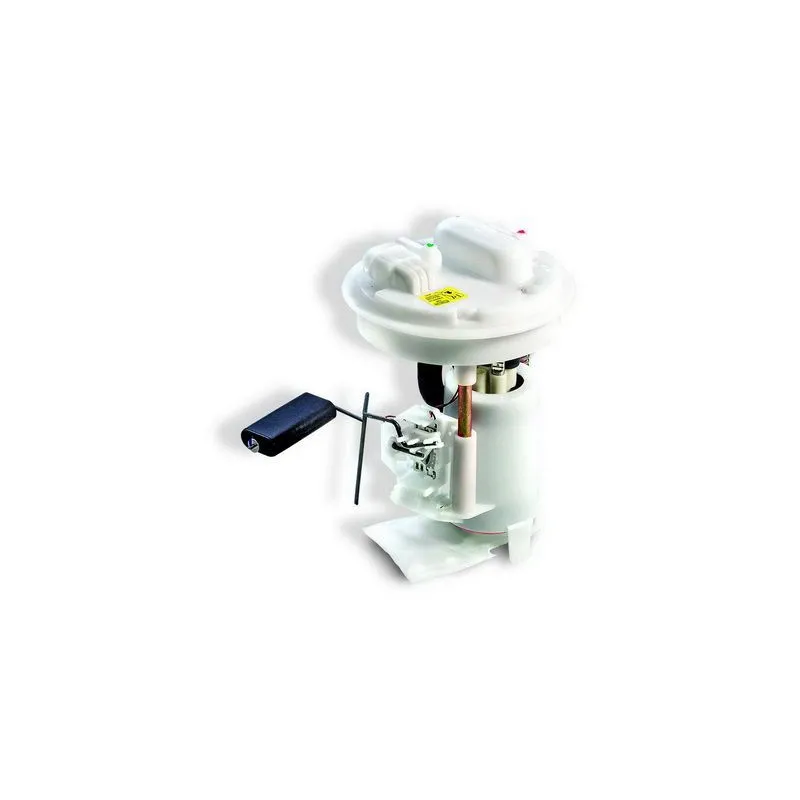 Unité d'injection de carburant HOFFER 7506489