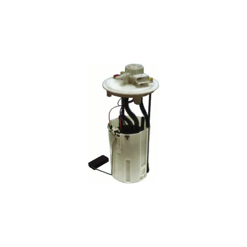 Unité d'injection de carburant HOFFER 7506512