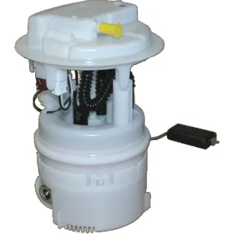 Unité d'injection de carburant HOFFER