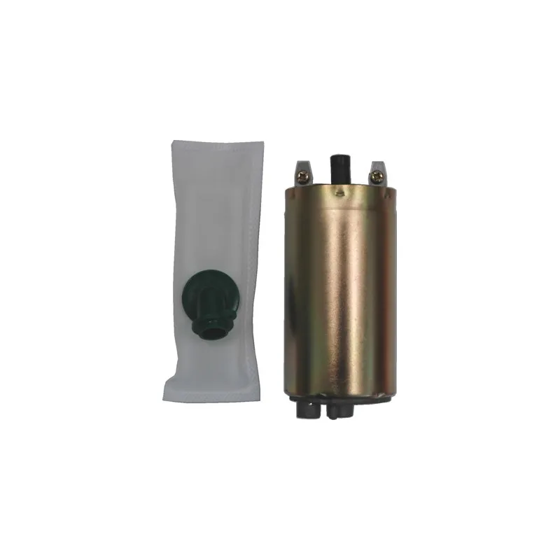 Pompe à carburant HOFFER 7506534