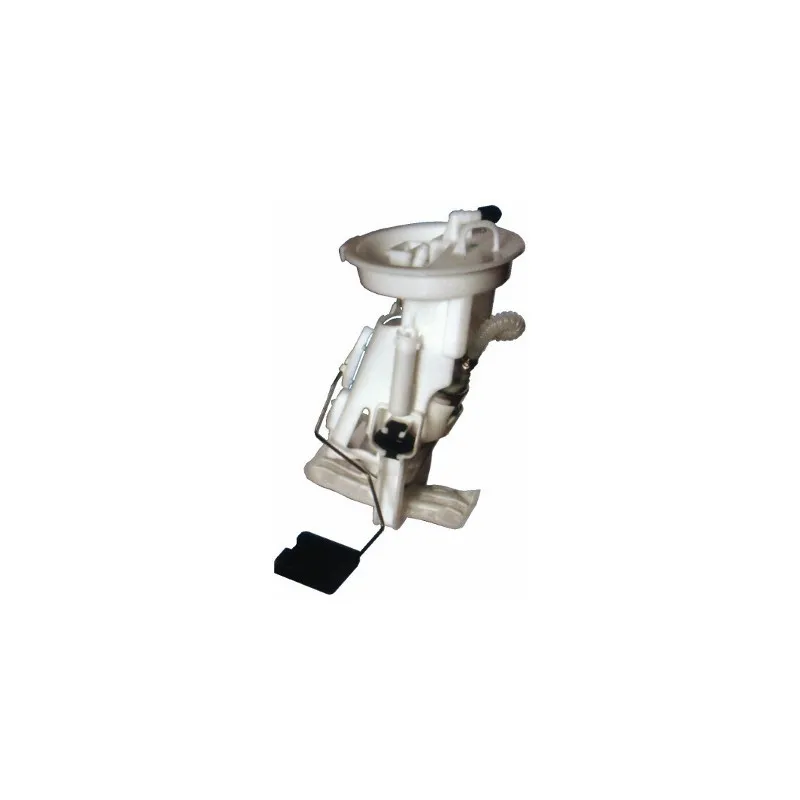 Unité d'injection de carburant HOFFER 7506543