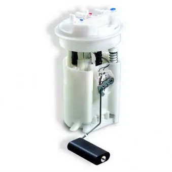 Unité d'injection de carburant HOFFER 7506548