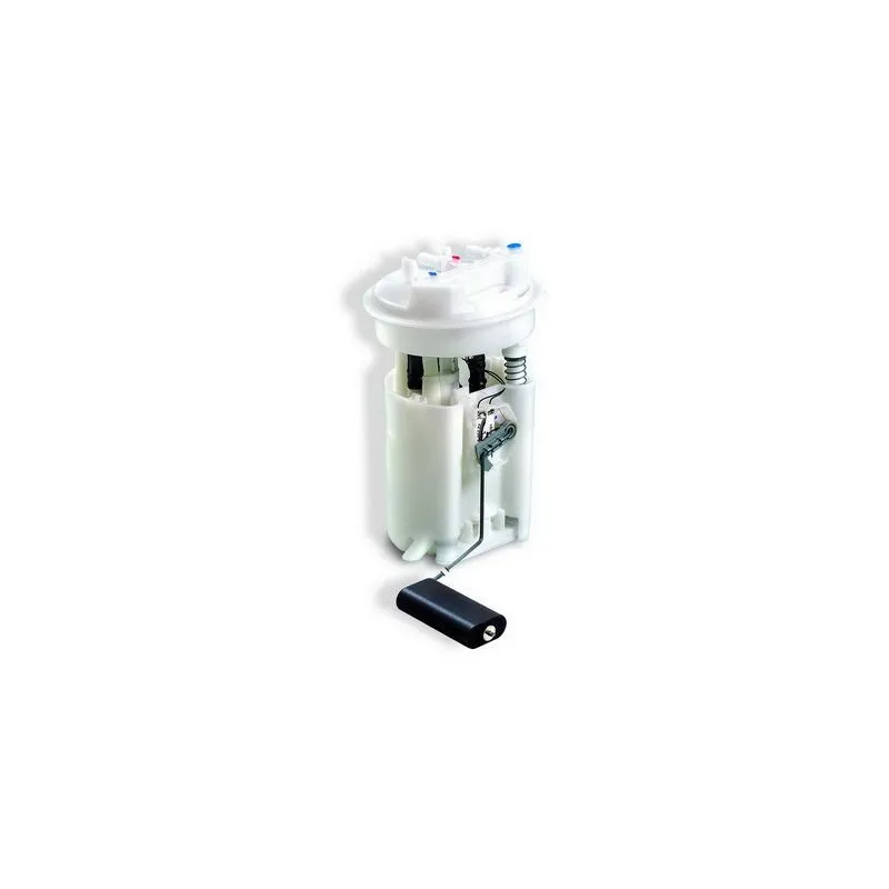 Unité d'injection de carburant HOFFER 7506548