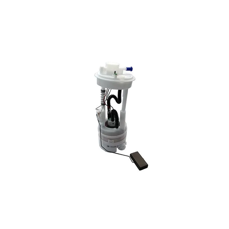 Unité d'injection de carburant HOFFER 7506554