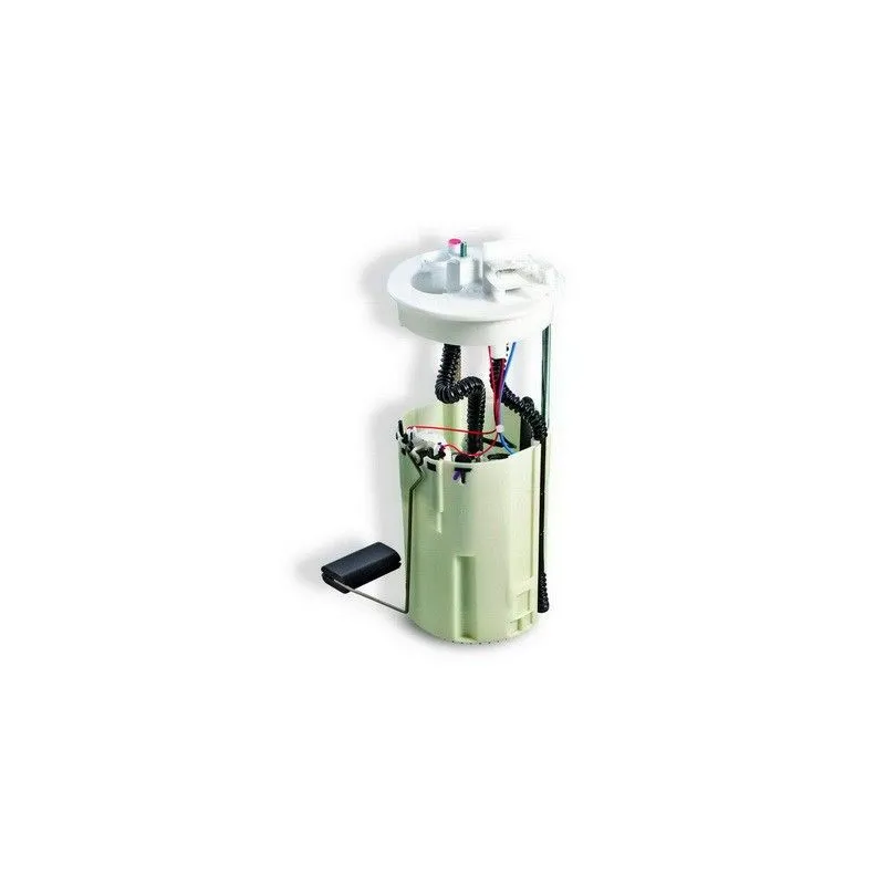 Unité d'injection de carburant HOFFER 7506557