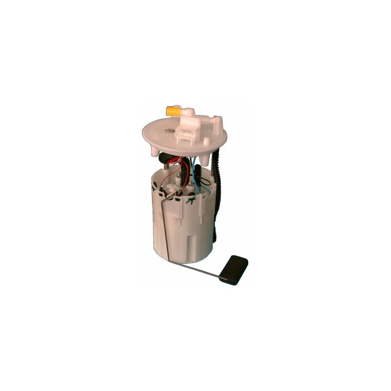 Unité d'injection de carburant HOFFER 7506560