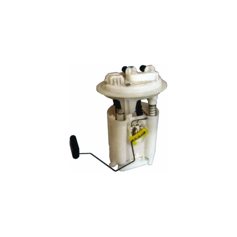 Unité d'injection de carburant HOFFER 7506580